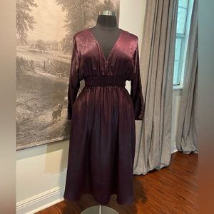 Zara Dark Purple Dress